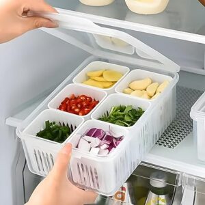hago Fridge Storage Boxes Freezer Storage Containers, Container for Kitchen Storage Set, Storage in Kitchen, Vegetable Storage, Draining Crisper Refrigerator Food Box (1)